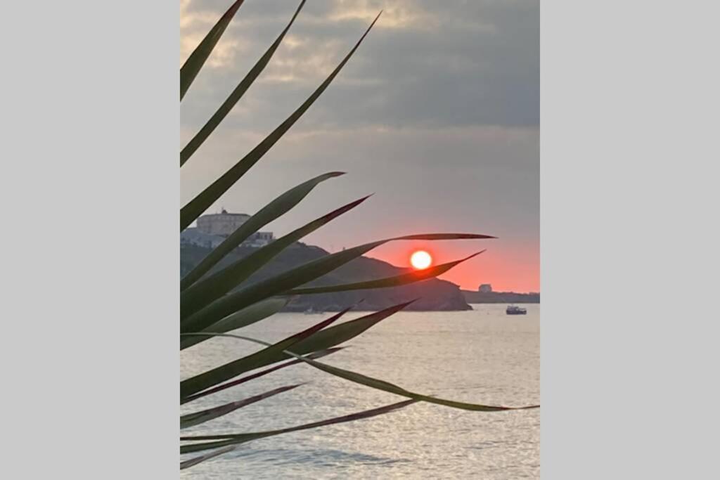 Beautiful 3 Bedroom Apartment By The Sea New Quay Kültér fotó